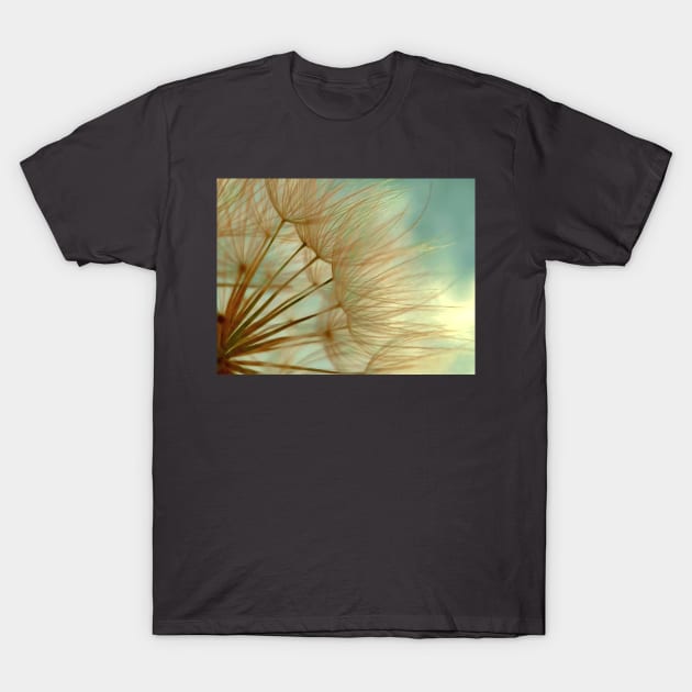 From inside the dandelion T-Shirt by ReanimatedStore